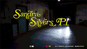 sandrasilvers.com - 2442 Sandra Silvers, P.I. Tied in the Trunk! thumbnail