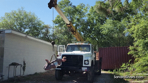 sandrasilvers.com - 3576 Sandra Silvers, Carissa Dumond, and Ben thumbnail