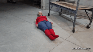 sandrasilvers.com - 3768: Sandra Silvers thumbnail